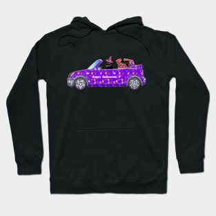 Happy Halloween Black Cat Car Hoodie